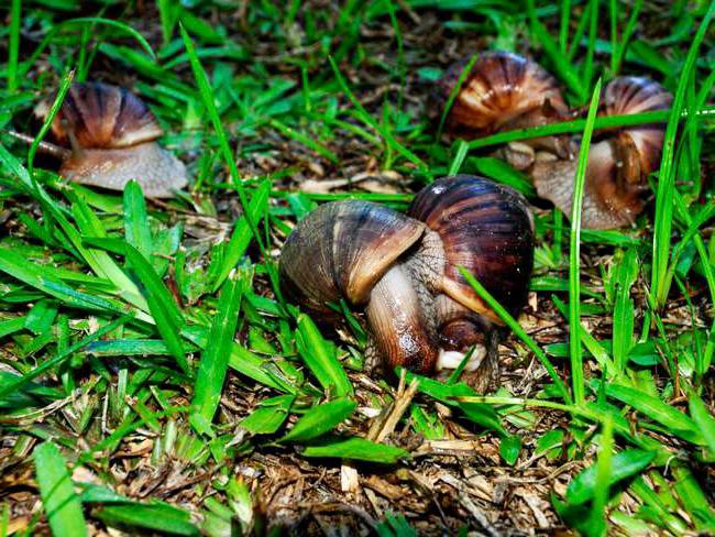 WhatsApp Image 2022-12-19 at 4.15.07 PM