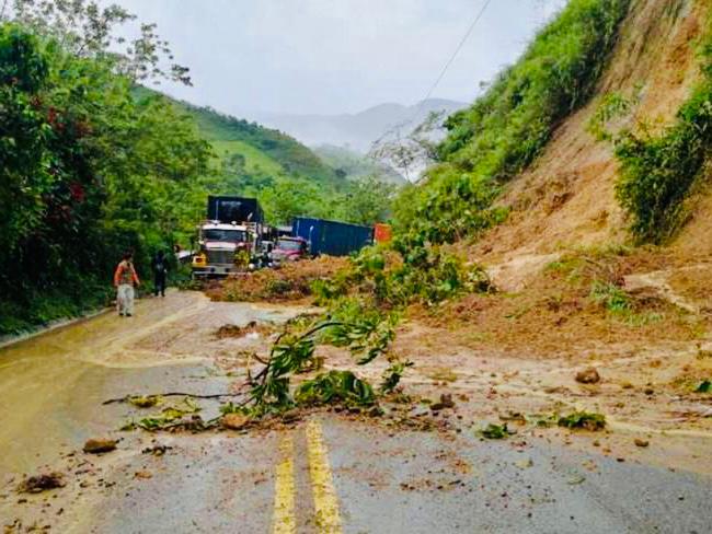 WhatsApp Image 2023-01-12 at 11.36.13 AM