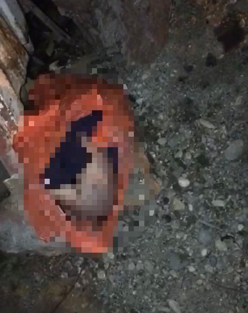 WhatsApp Image 2023-03-29 at 9.18.56 AM