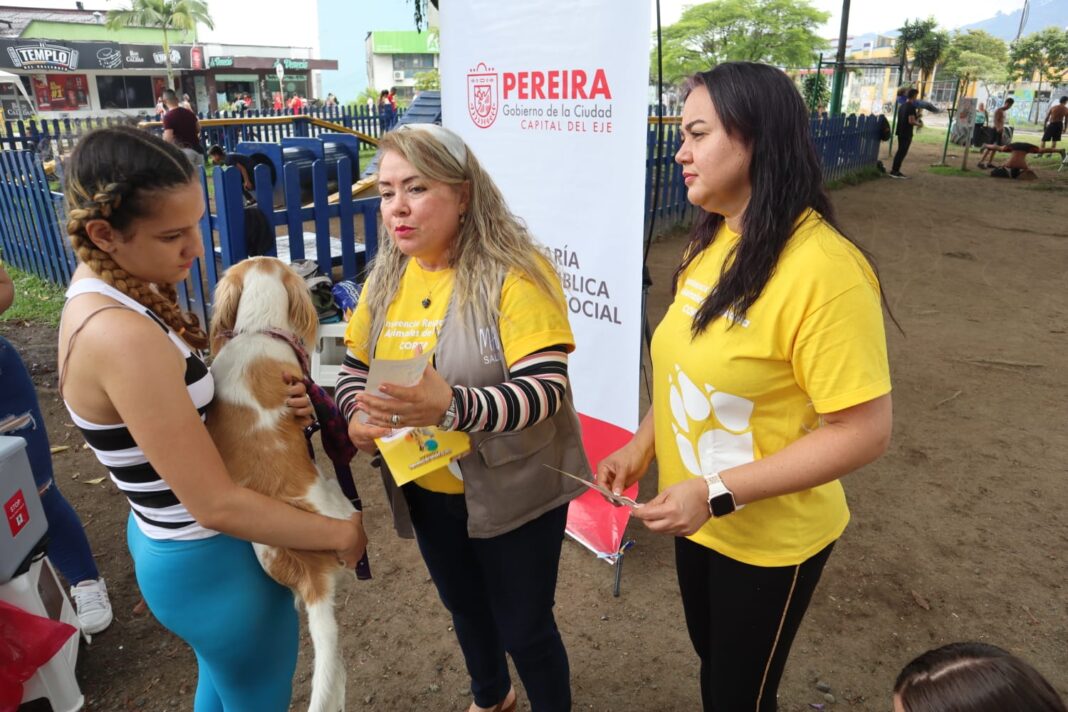 fbd672e3-c474-c72a-5fff-13f92b2c972f