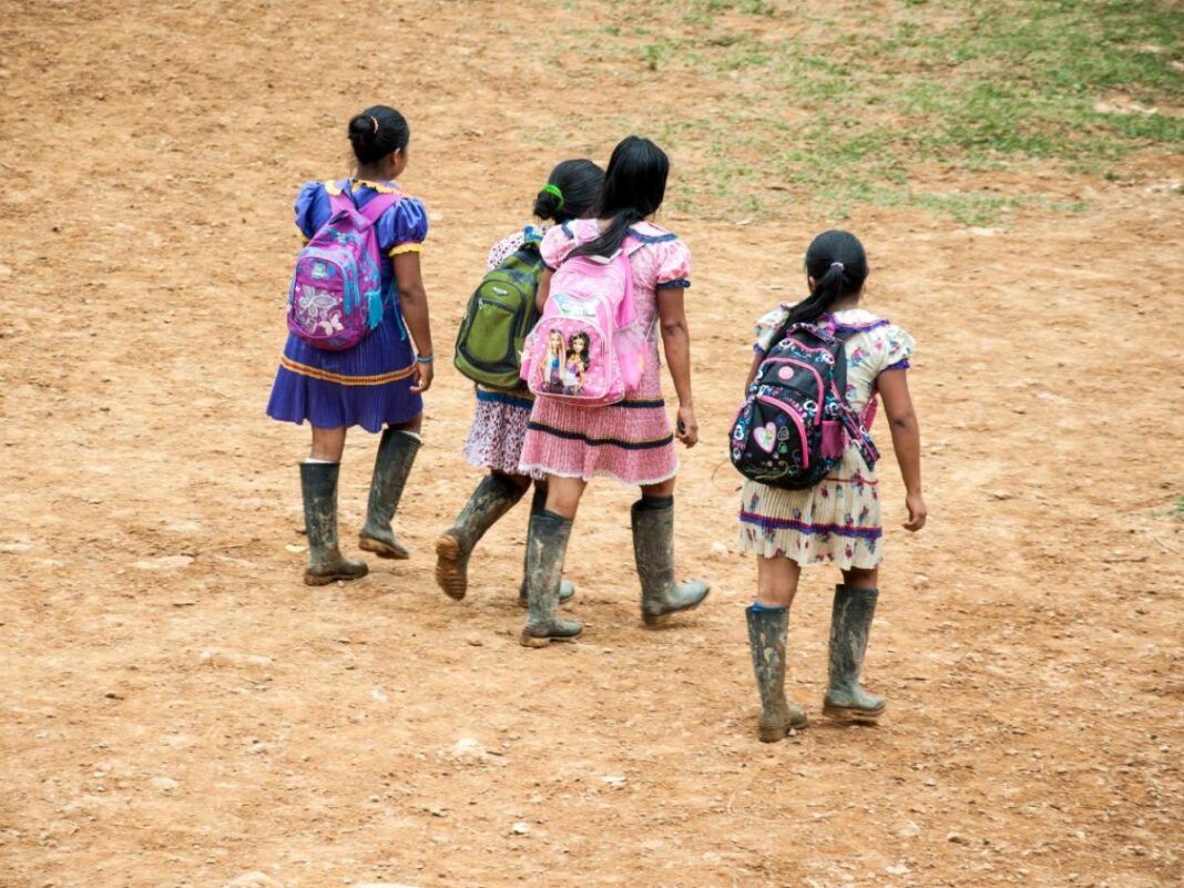 indigenas