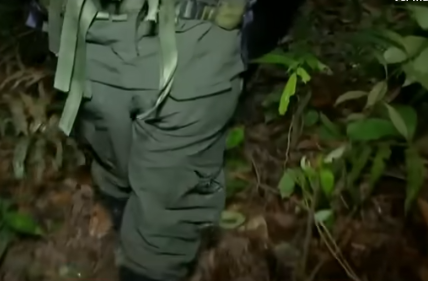 guerrilla