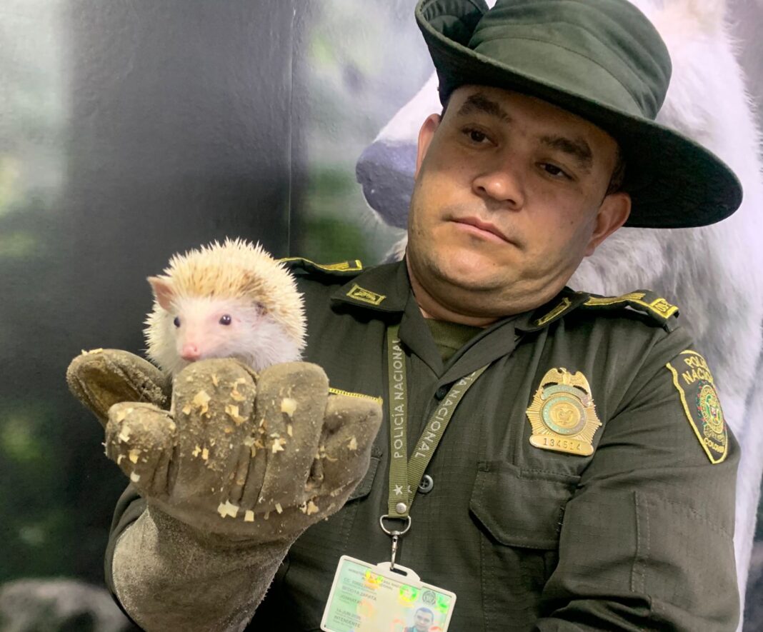 WhatsApp Image 2023-07-08 at 4.33.41 PM