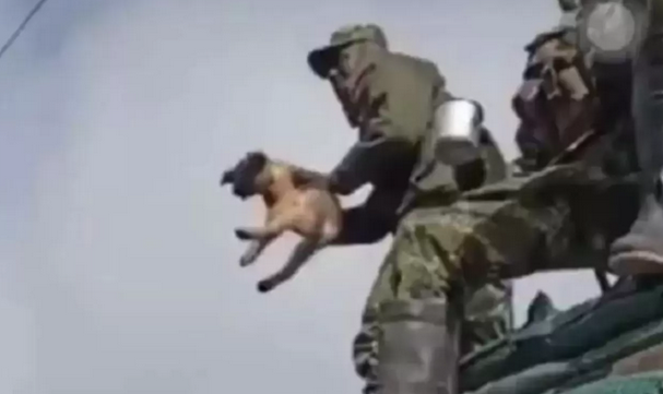 exmilitares