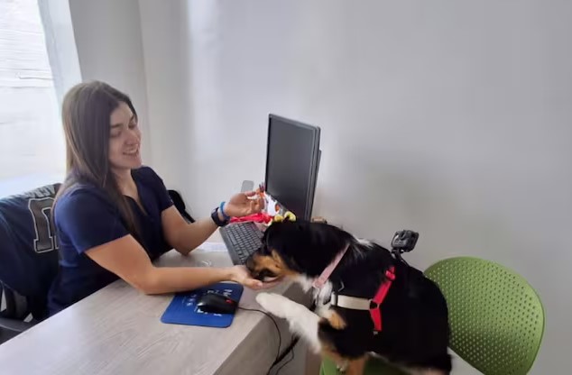 Risaralda estrena consultorio veterinario con tecnología avanzada