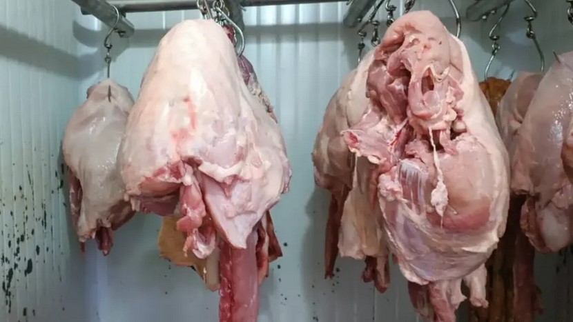 Alerta en Pereira por carne de cerdo contaminada