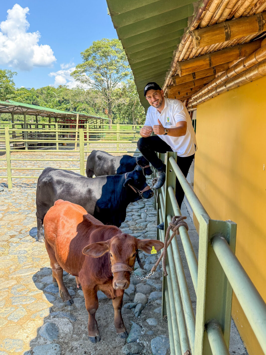 Risaralda fortalece su ganadería con capacitación en razas