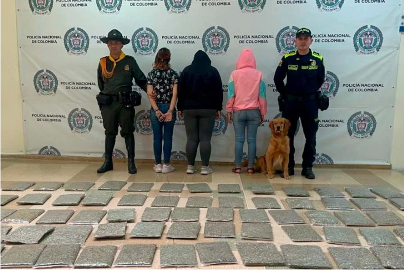 Gracias a perro Thor capturan a tres mujeres con droga