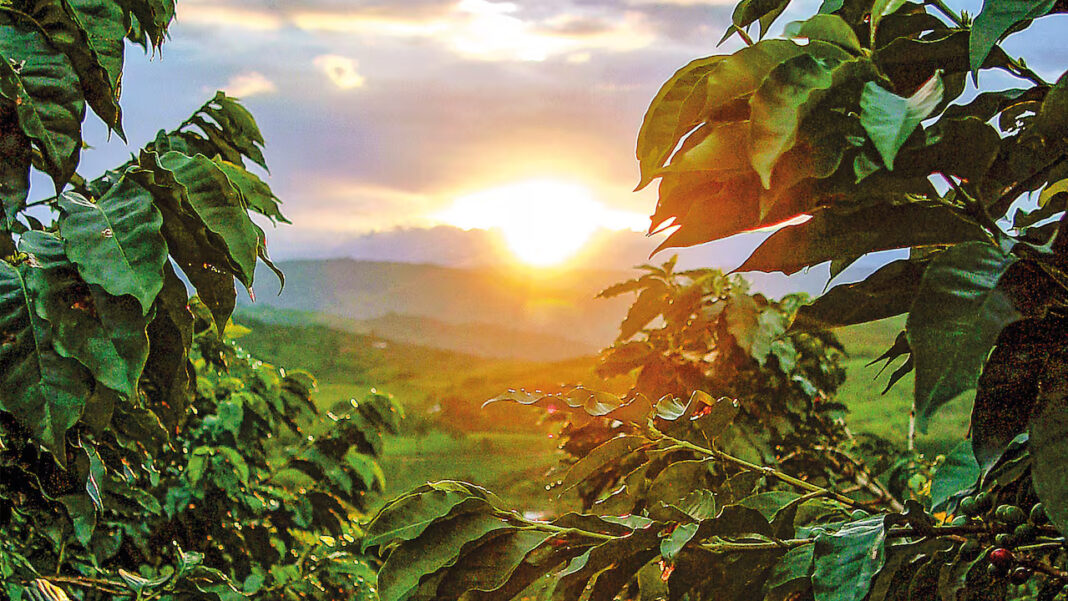El turismo internacional se recupera: Colombia lidera con un crecimiento del 148% en 2024