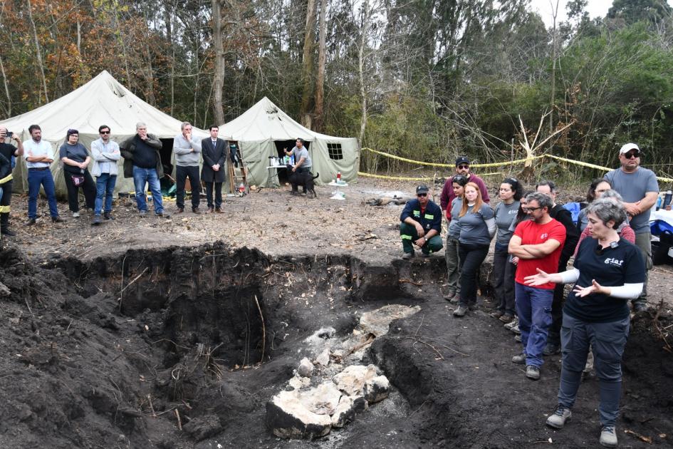 Hallan restos humanos en el Batallón