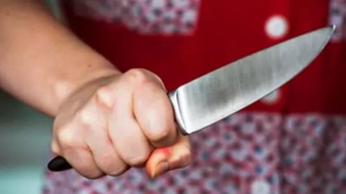 Tras celebración con alcohol mujer habría asesinado a su pareja