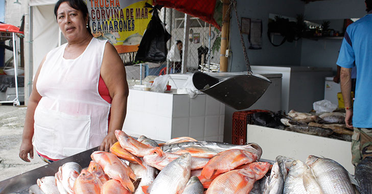 Pereira refuerza controles sanitarios en la venta de pescado