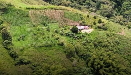 Demolición de construcción ilegal en Dosquebradas
