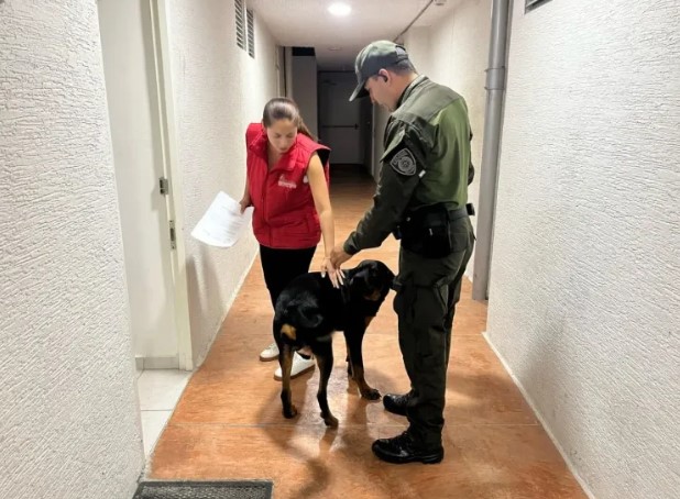 Rescatan a un perro, victima de maltrato animal