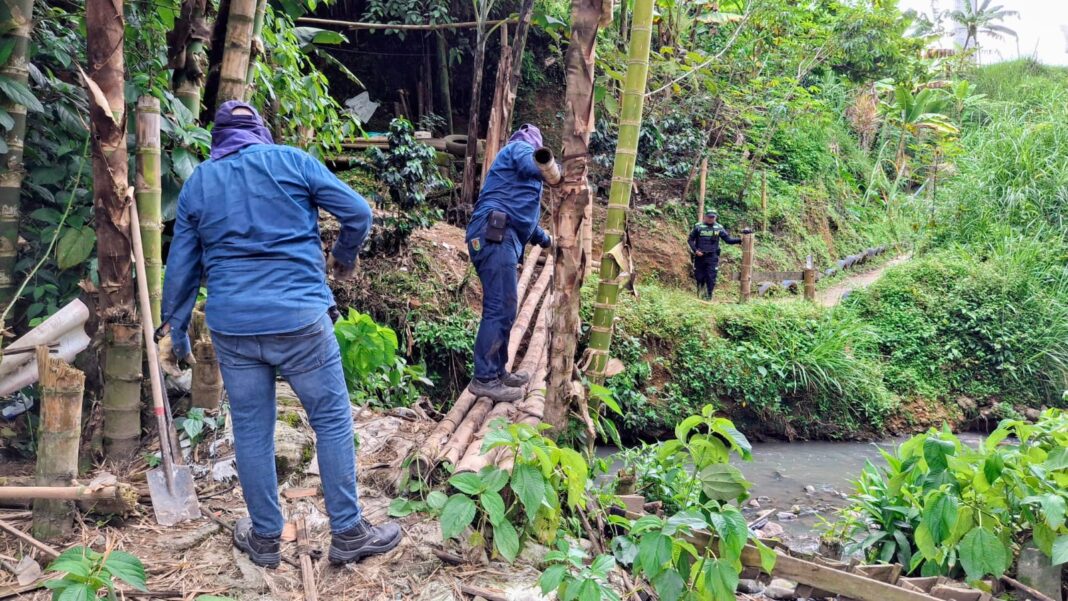 Policía y la Alcaldía de Pereira erradican puntos de consumo