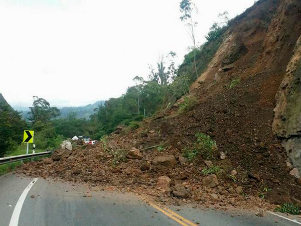 Lluvias y deslizamientos de tierra ponen en riesgo a 8 municipios