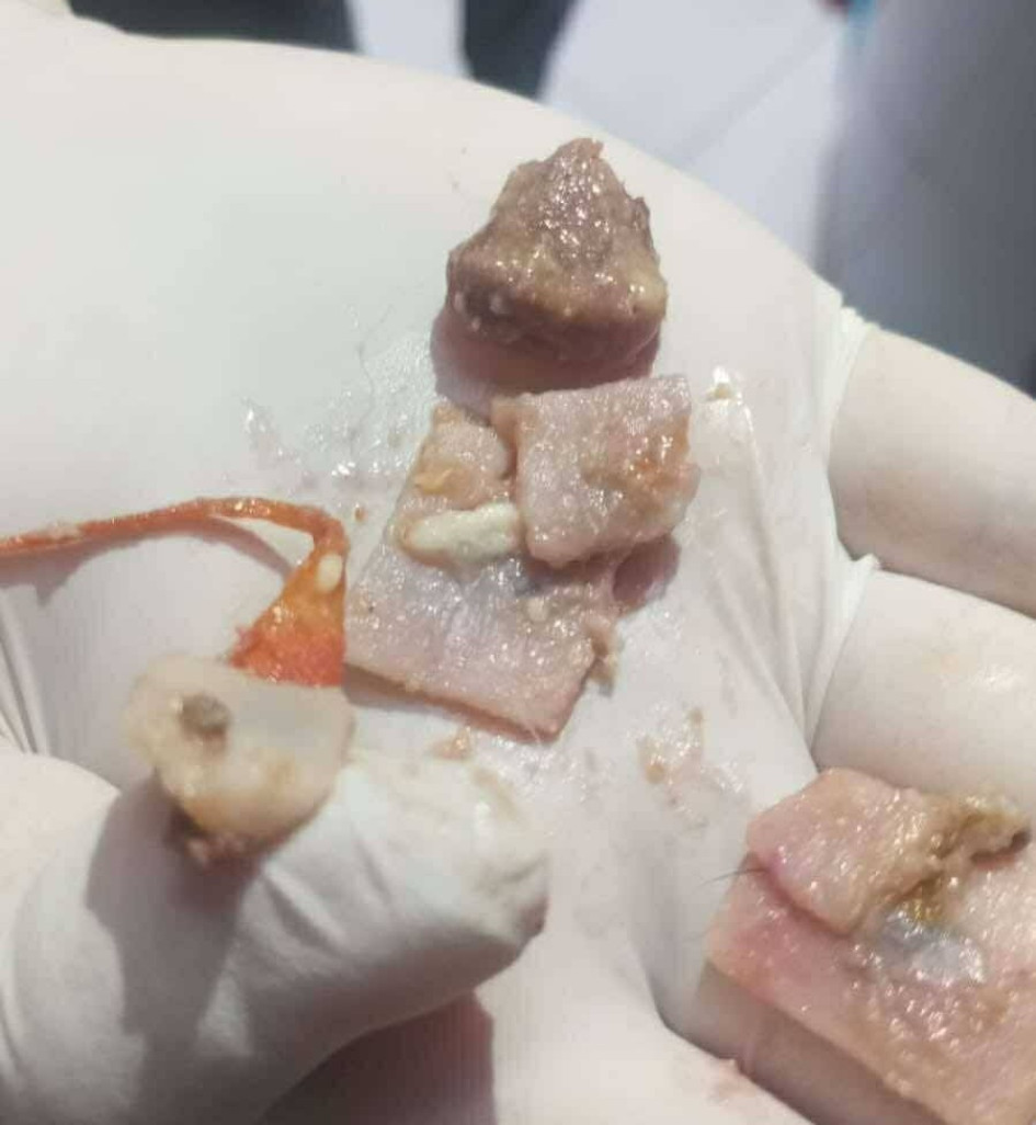 Perros envenenados, la comunidad pide justicia urgente