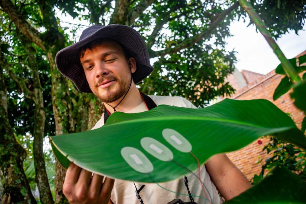 El primer jardín biosonoro del mundo abre sus puertas en Ukumarí