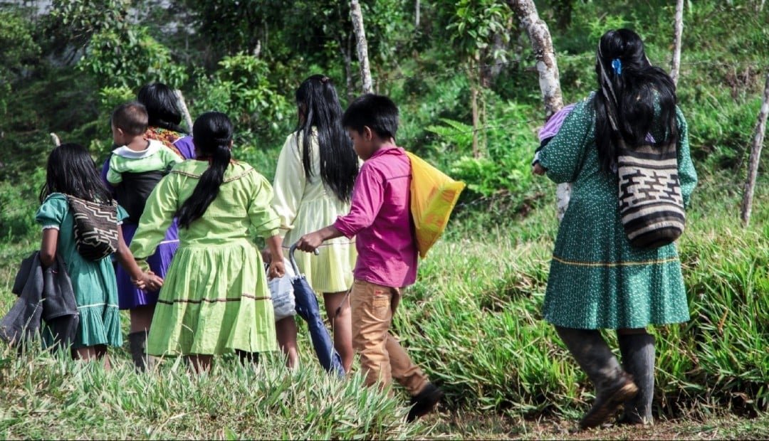 Indígenas Embera inician retorno seguro a Risaralda y Chocó