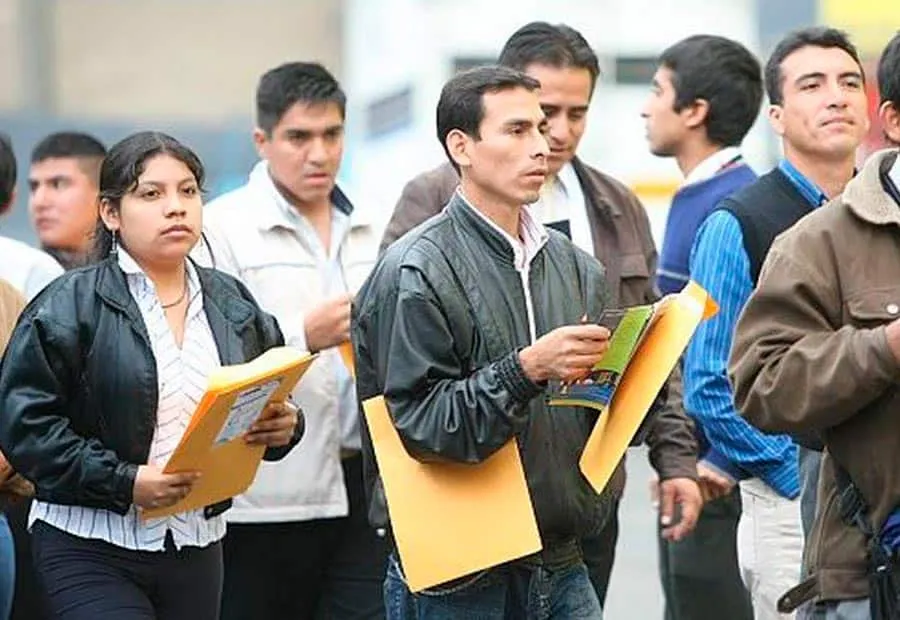 Pereira reduce desempleo al 8,3%