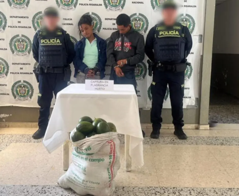Los capturaron por robar aguacates