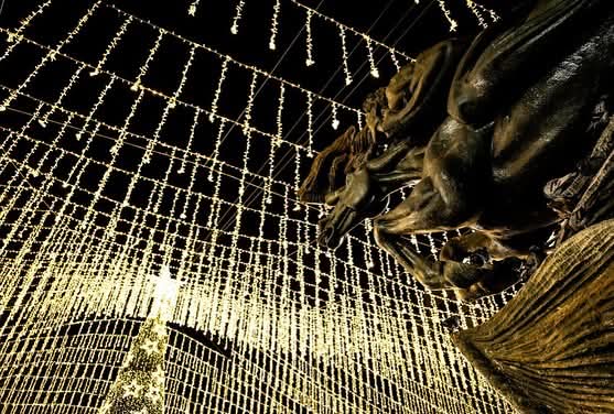 Así luce la hermosa navidad de Pereira