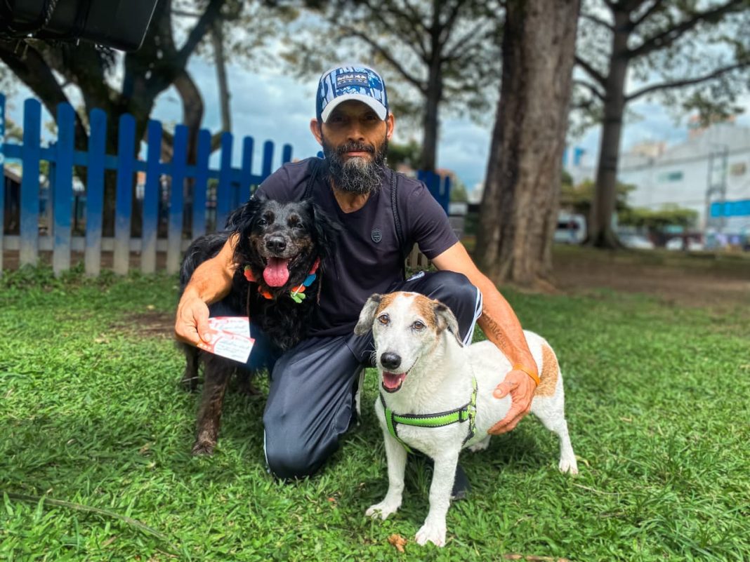 La vacunación antirrábica llega a Pereira para cuidar la vida animal