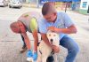 Jornada antirrábica benefició a decenas de mascotas en Aguas Claras