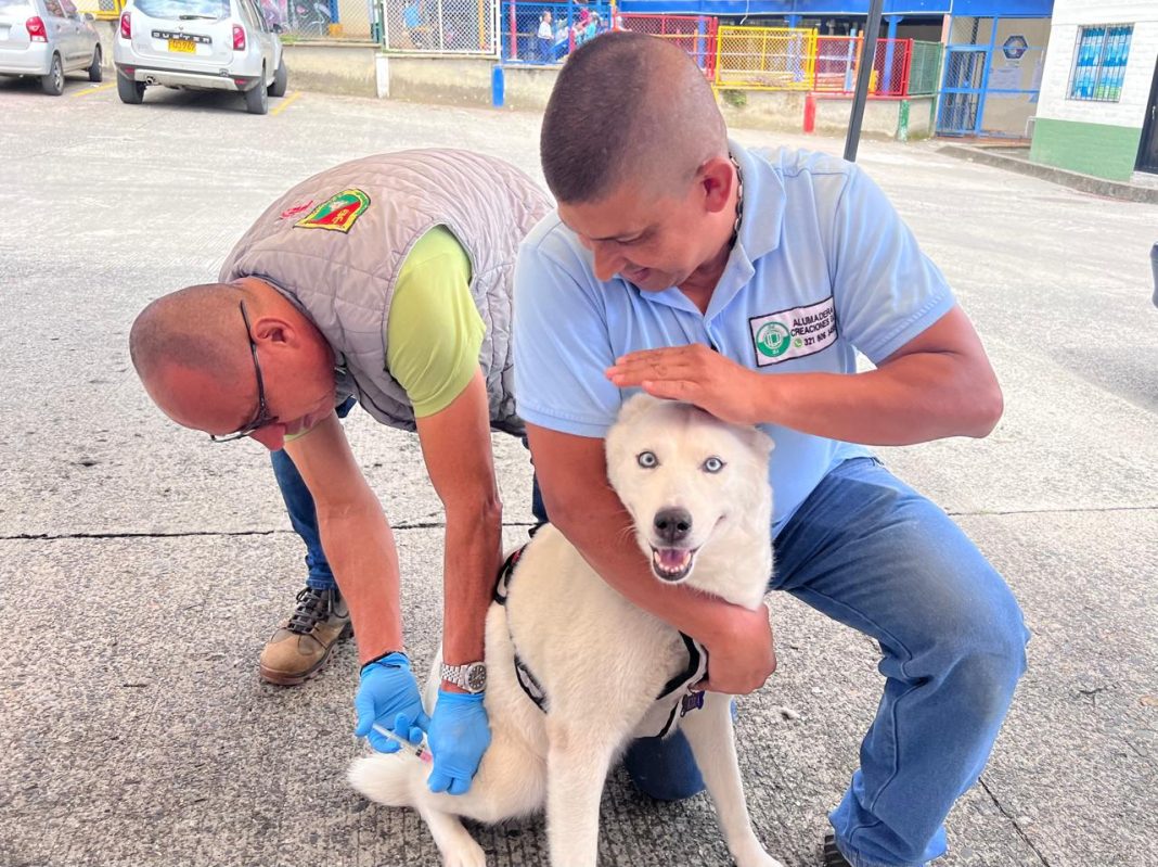 Jornada antirrábica benefició a decenas de mascotas en Aguas Claras
